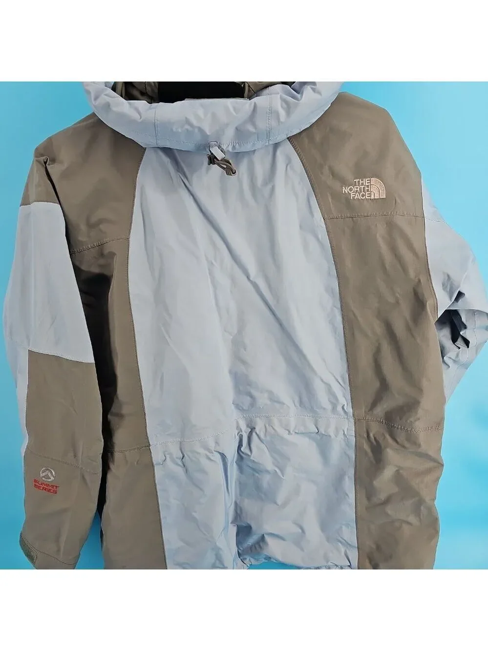 The North Face Summit Series GORE-TEX Jacket – Size L (Blue/Gray)